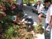 4 26 08 Volunteers weeding greenway