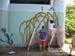 flagler elh riverside garden 4 26 08 mangroves vols