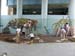 flagler elh riverside garden vols full mural 4 26 08